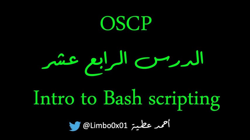 Offensive Security Certified Professional‬‎ / OSCP |Module5 - Intro to bash scripting
