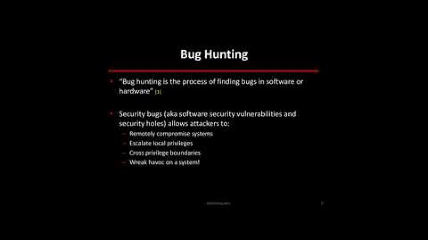 2-Bug hunting